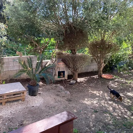Ferienwohnung Sa Frada Olmedo Exterior foto