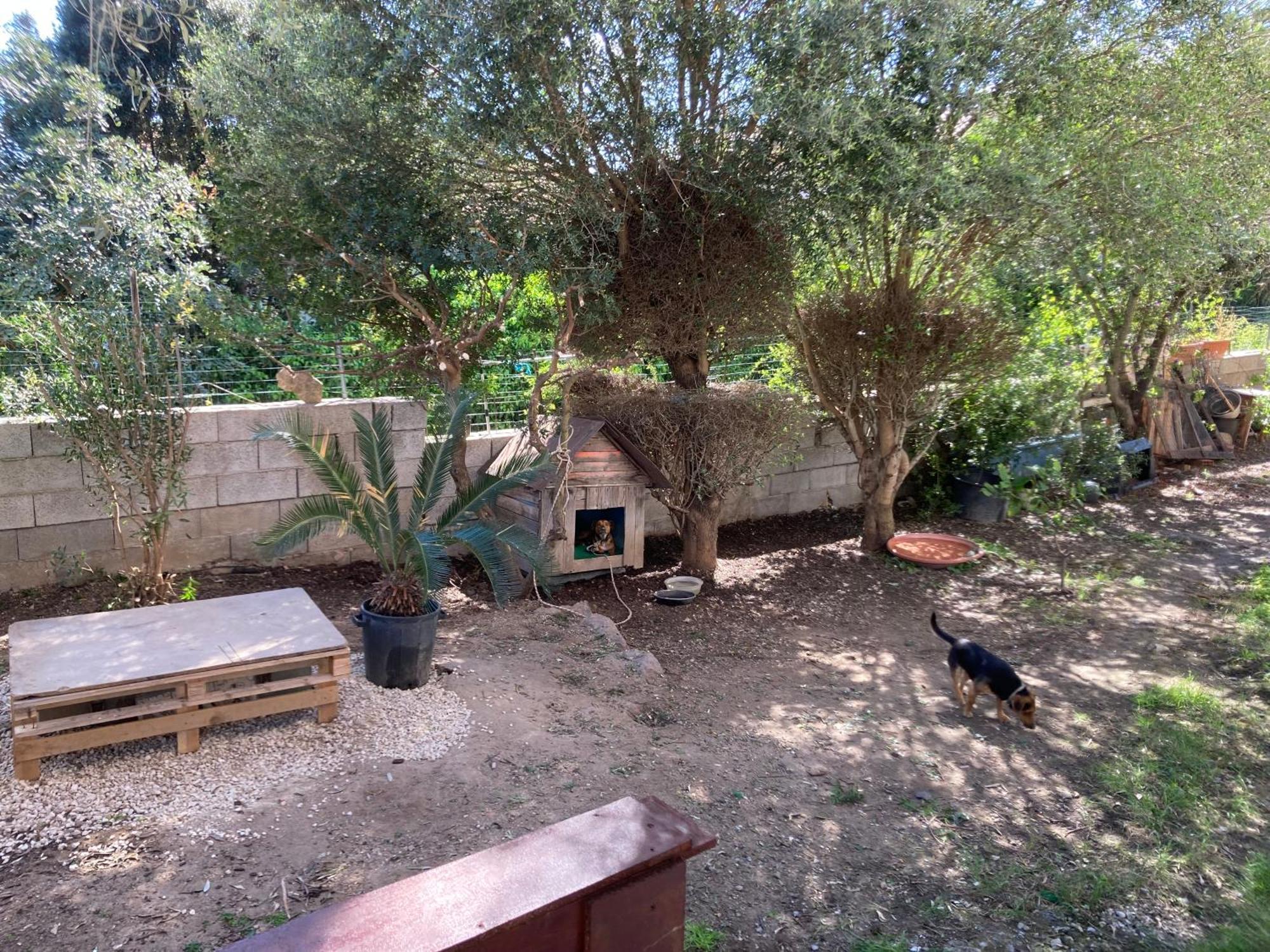 Sa Frada Apartment *